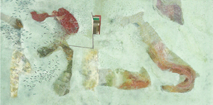 Thumbnail Placeholder